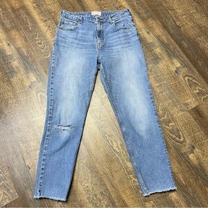 Everlane Curvy Cheeky Jeans Womens 31 Blue High Rise Distressed Raw Hem Stretch